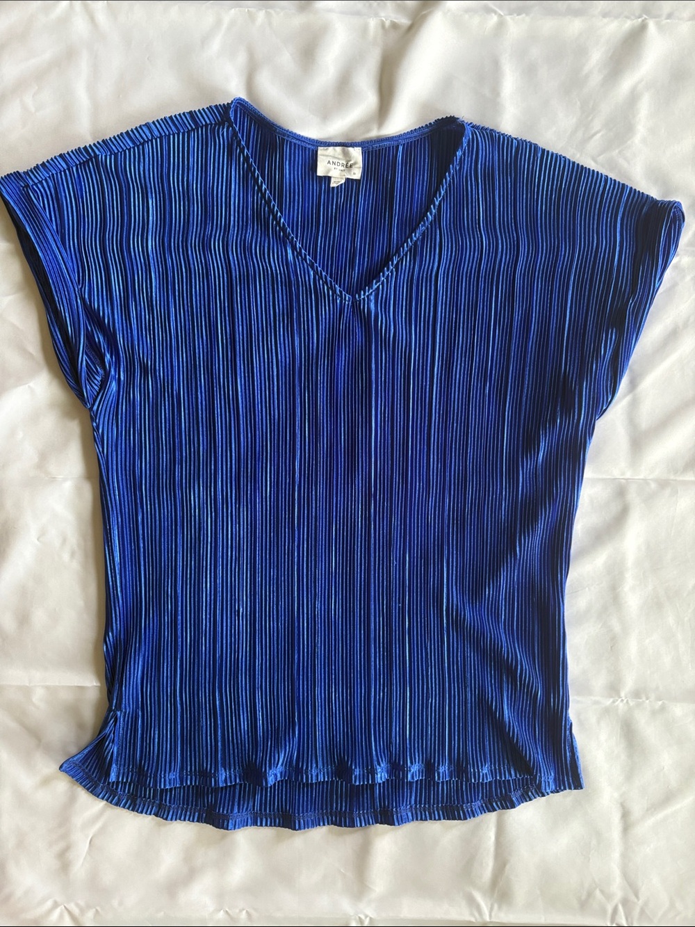 Andree Pleated V‑Neck Short Sleeve Top in Royal Blue